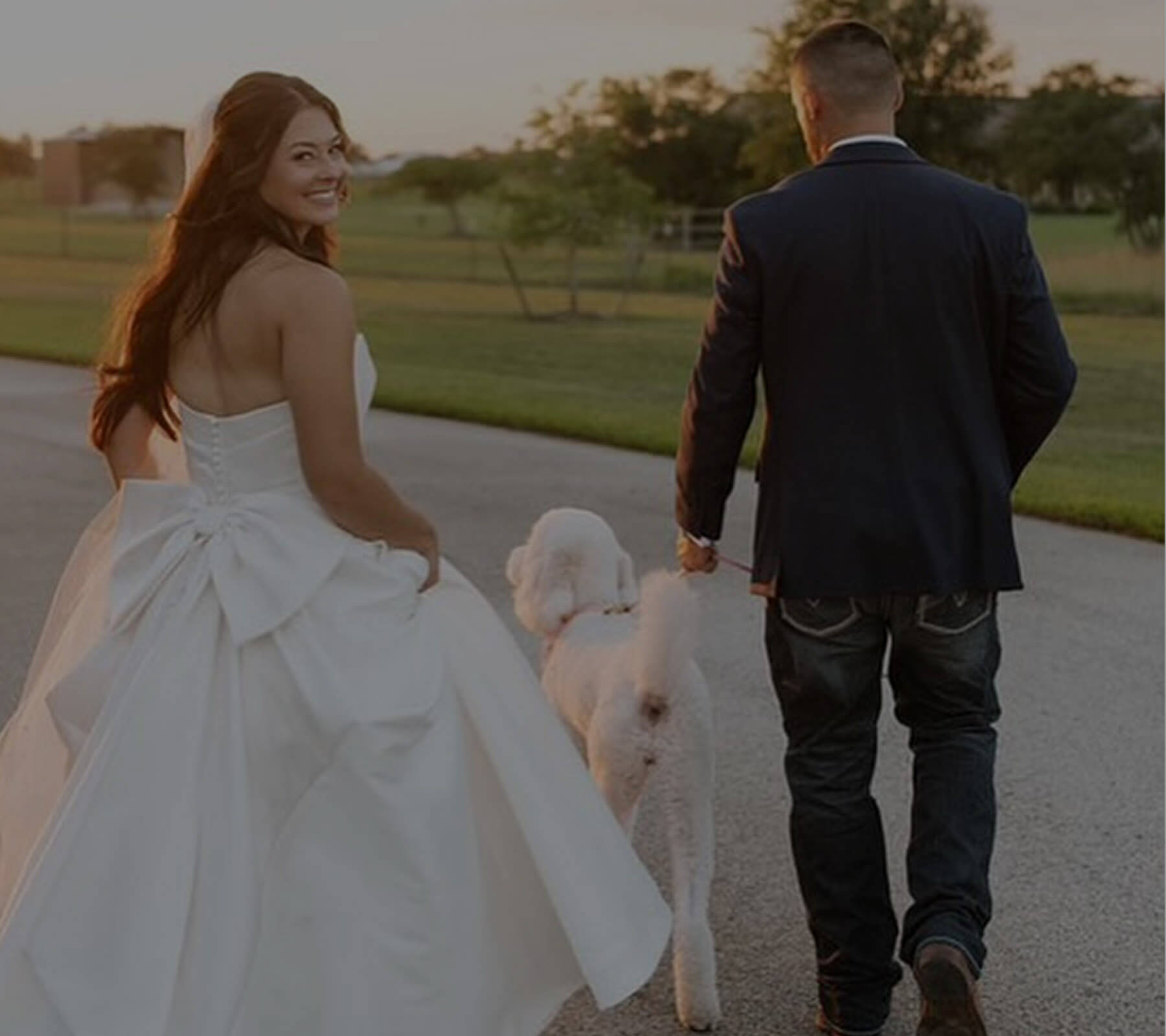 Couple wearing a white gown and a black suit. Background Image