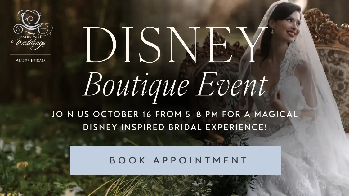 Disney Banner for Mobile